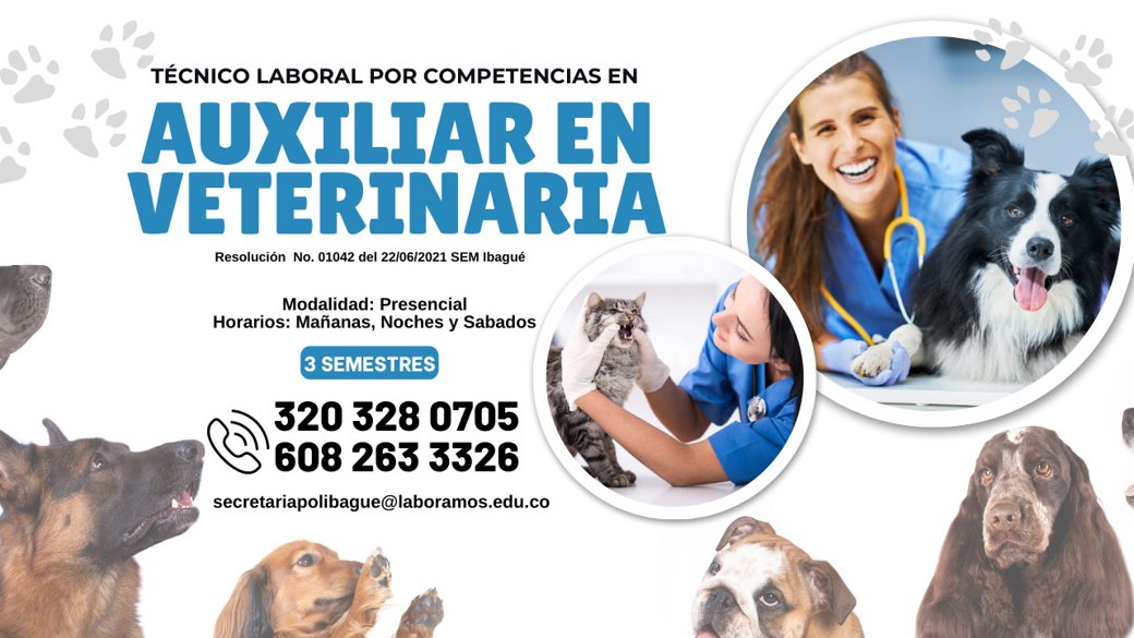 Auxiliar en Veterinaria